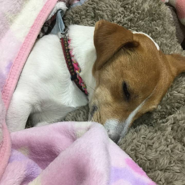 A70f8b11 de6b 463e b973 065f694fa89a 1516194857643