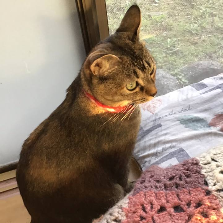 A70fc0f5 7715 439c a324 e465b9336439 1634289440506