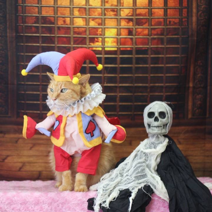 A70fc944 0944 4d1e a826 d49830d19a4b 1730358306053