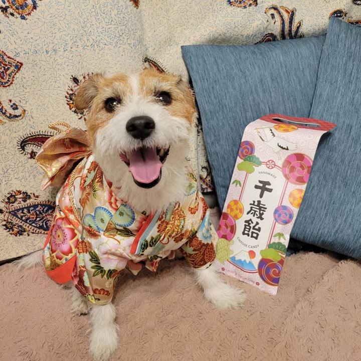 A70fcb29 8f5d 4e3f 8d1b 5782465f3e47 1699954336694