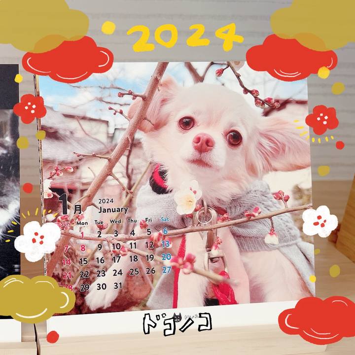 A70fd3c2 1da9 48e4 83f9 af1865f90e7a 1704100650798