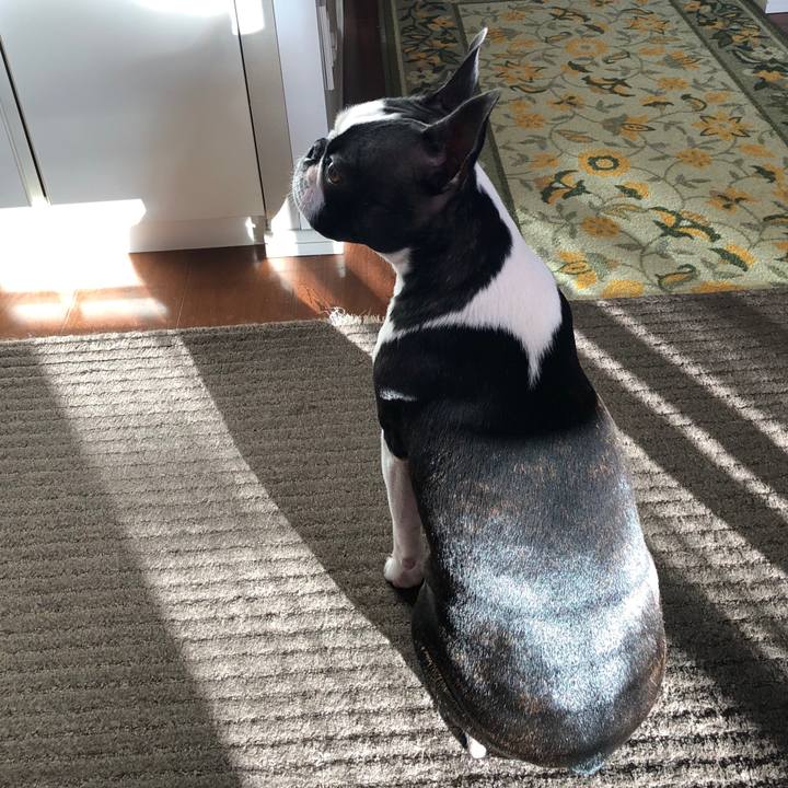 A70fefc6 c085 415a bab7 f39d2eca49f8 1545118069855