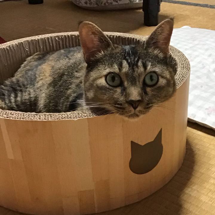 A70ff9c9 de44 4c48 9dd5 bc3f4ec8d8a0 1722676141868