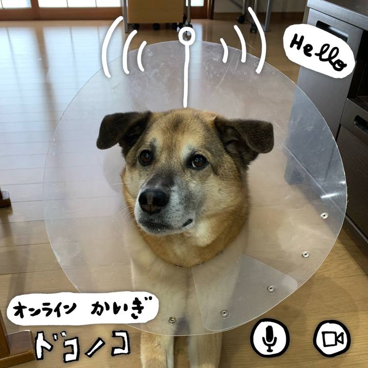 A7102022 4d31 4587 af78 c49591be1a18 1590707688240