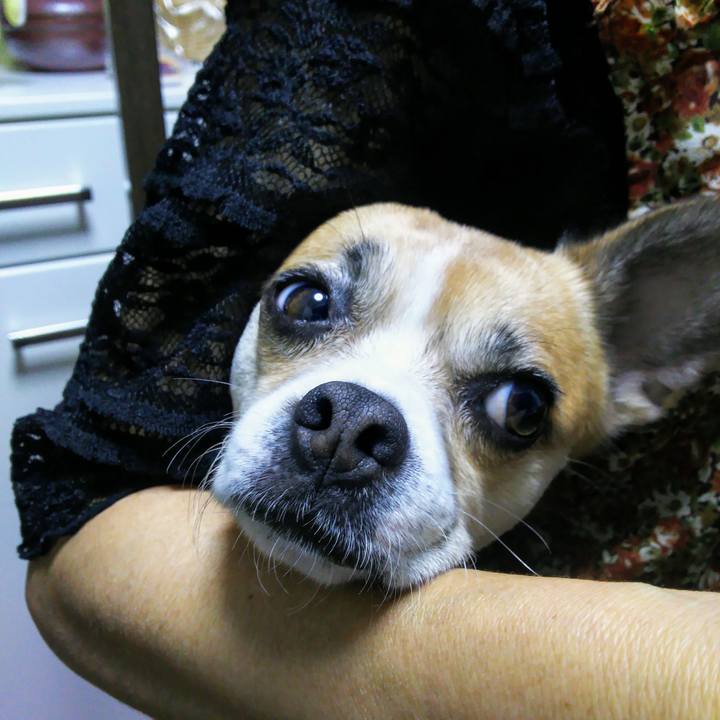 A7105ef1 84da 49eb bce8 afdc54ccd9f4 1569100375977