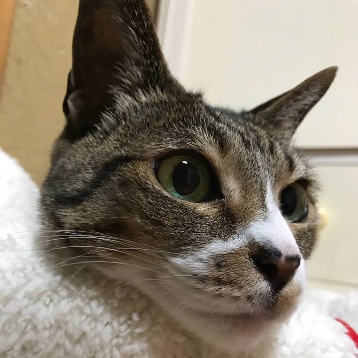 A7109d1b b434 4642 81b7 9dc24b0bd945 1523063853573