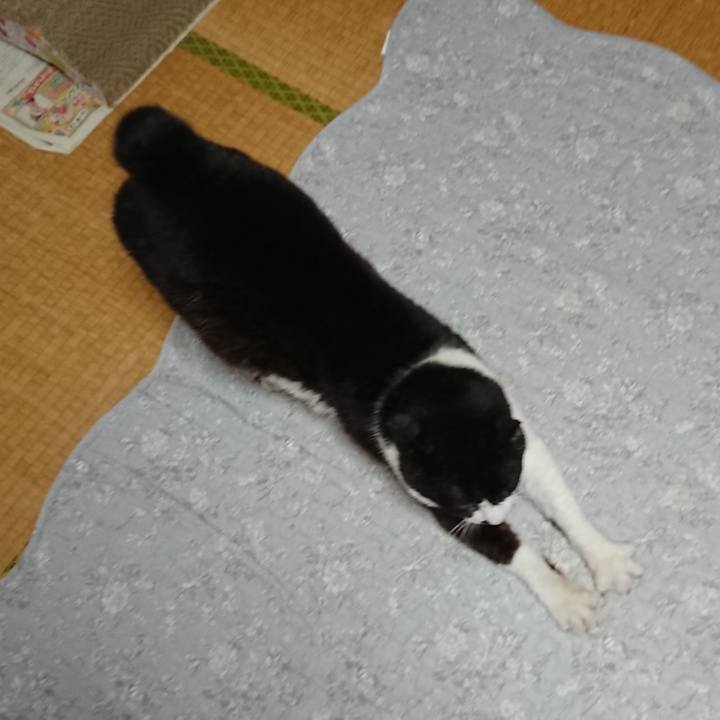 A710bd57 bfdf 4b0a 9be4 1128b0777464 1652931700491