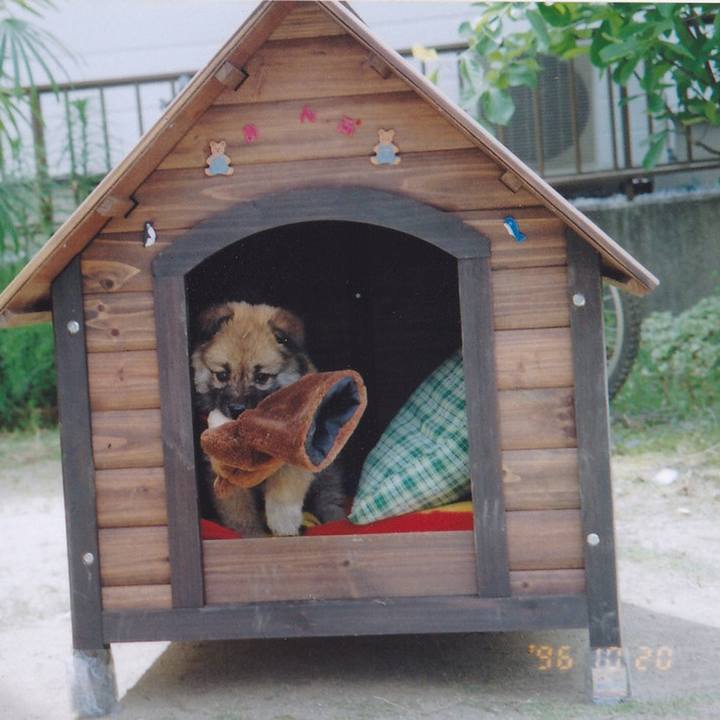 A710c7ea a681 4458 916c 52b9ae1e7f2f 1548086596786