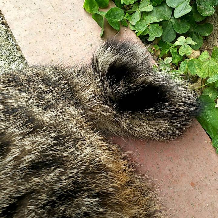 A710cbac a8be 48bf 8566 630eda32d005 1558237894979