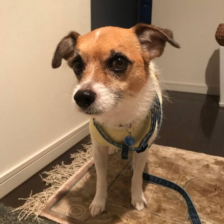 A710f73f da53 4d7d a433 bbcccc2d8ea1 1507754388575