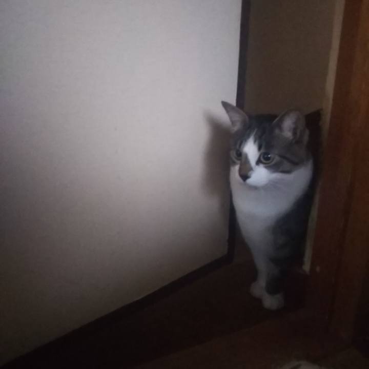 A710fc01 6f6b 4922 998a 3532289598fb 1602320097660