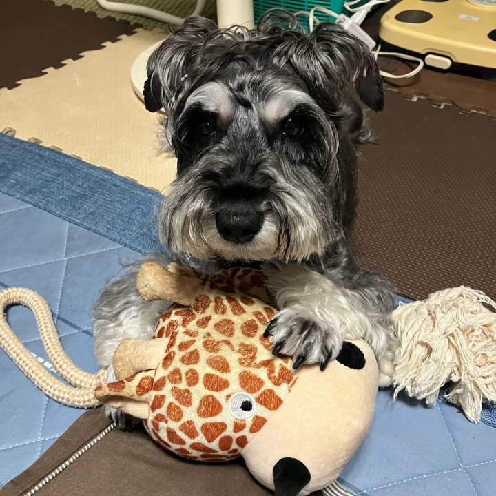 A71104da c9d4 47b8 ae05 9cded14a7e24 1727491187670