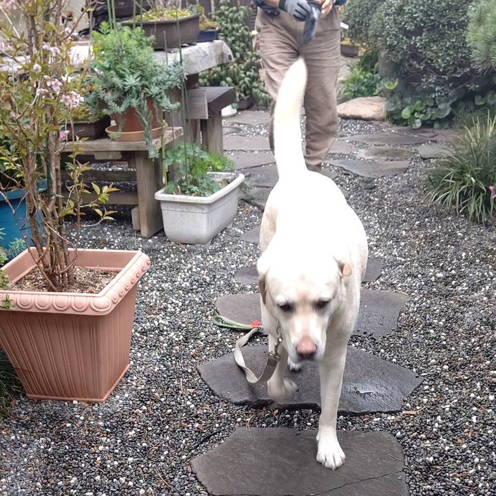 A7115b4e 787b 45ec a13f 2bc784170d7f 1648255365476