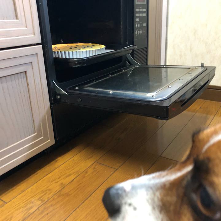 A71163c5 c0a5 40cb 9cd9 193d318b4961 1595473456010