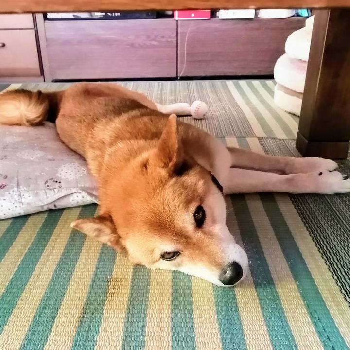 A7116ae2 14f4 4a85 ada4 75e920d14484 1589436249493