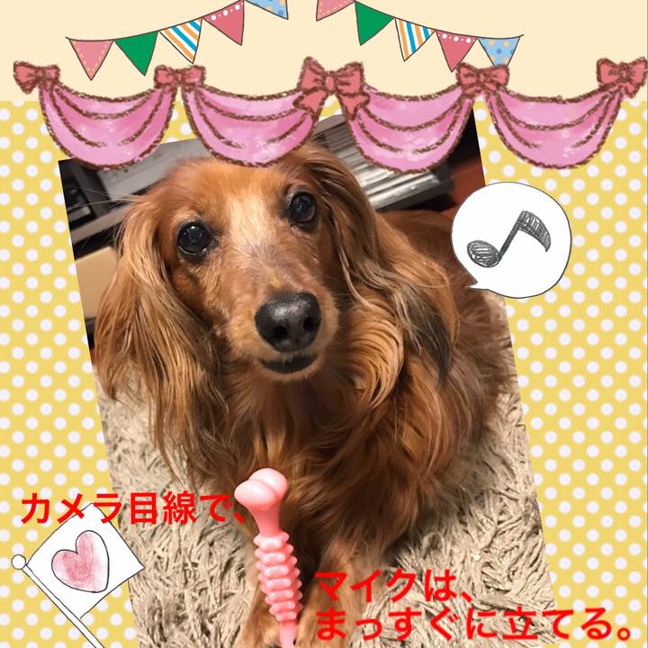 A7117be6 bc4e 4f99 b2fc af504c5e9eb8 1565453670567