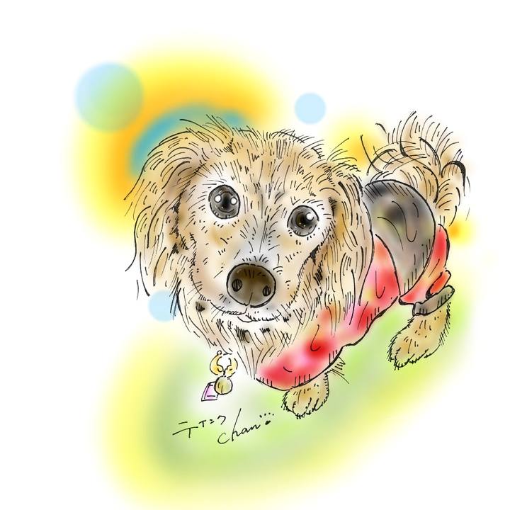 A7118db1 41ec 4f4d 9e70 5d4ecb488492 1583164672579