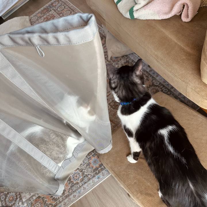 A711a0e3 c983 45d0 9618 b05cf24aee69 1775179047707