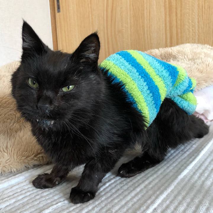 A711b8eb 0bec 4298 9f30 cd7e2009cfda 1647064913230