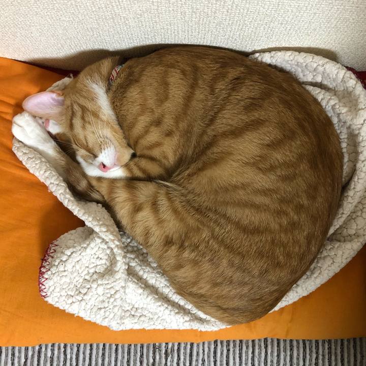 A711ba3d 1e9a 4aac bab6 87ea92c90f1e 1571494073456