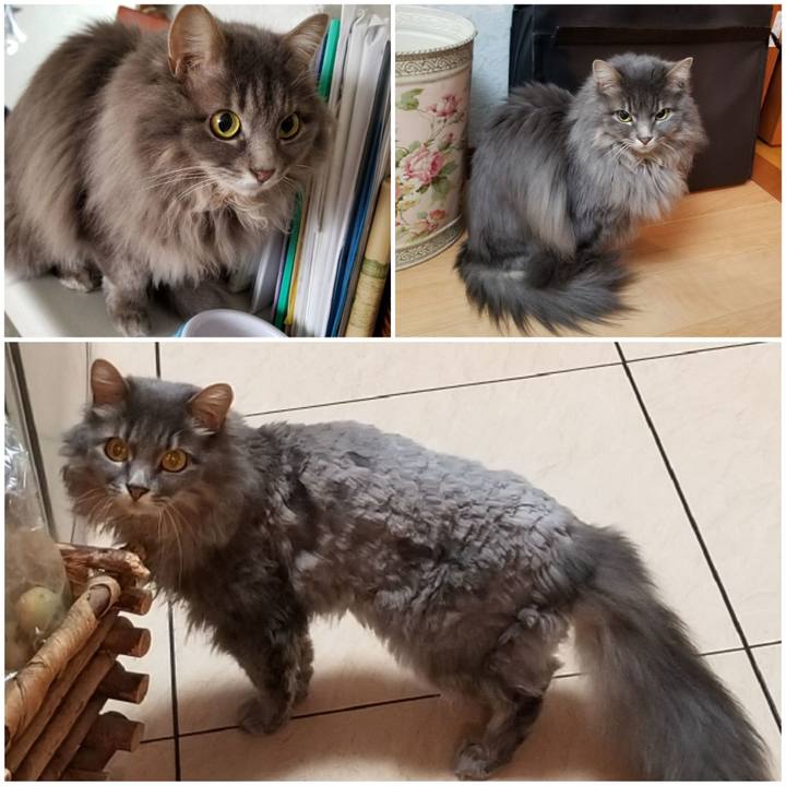 A71204c4 cc82 4841 95ca 7239c8de3aff 1562935930737