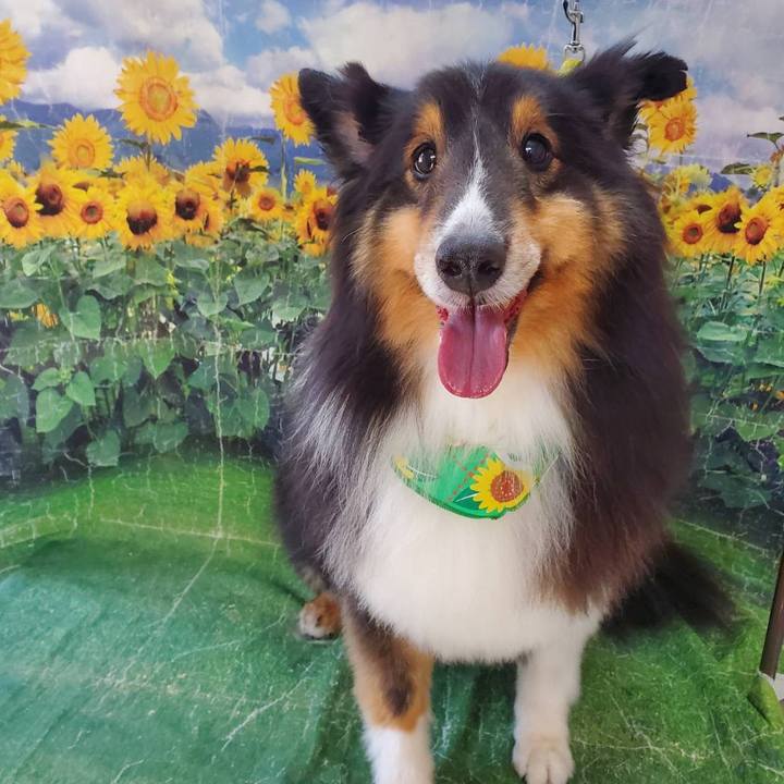 A71206d6 4695 4447 ba66 cb59007eef1f 1755943795398