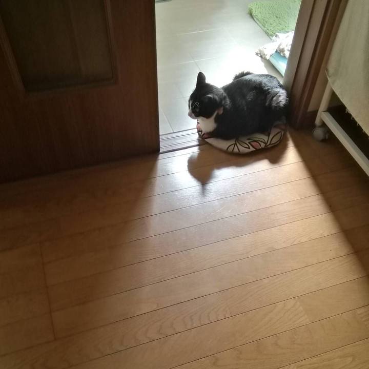 A7120ad5 7170 4e4a 81b3 c2346381653d 1555295180599