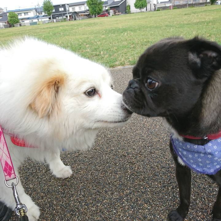 A7126c19 b405 4f4e abc3 c7cef7c3b287 1530172572875