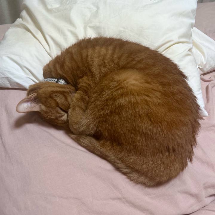 A712b7e8 12fb 455a 9609 78532ff80424 1766137130133