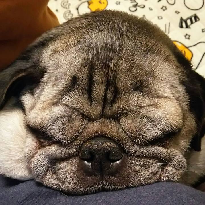 A712e798 e0d3 4cec 8910 2e98eb72d04b 1540684135340