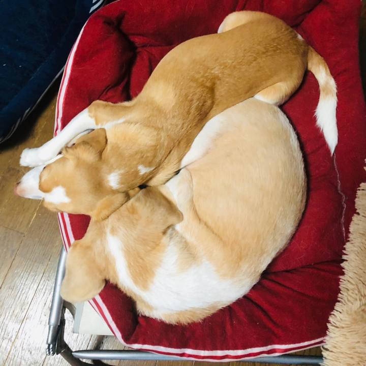 A712eeab 8c72 4fb6 b922 25c75fbd382b 1570778686918