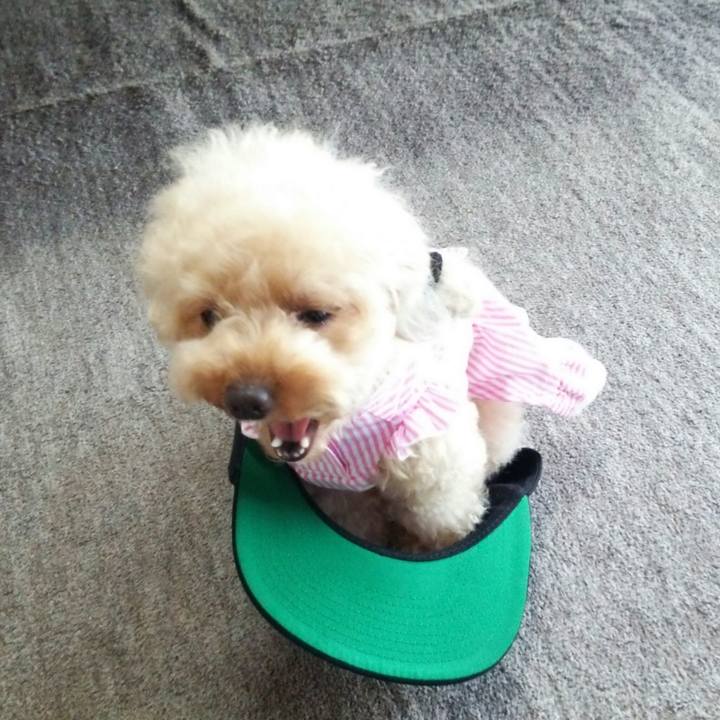 A71305e6 1900 450a 981b 045593208e21 1536146916608