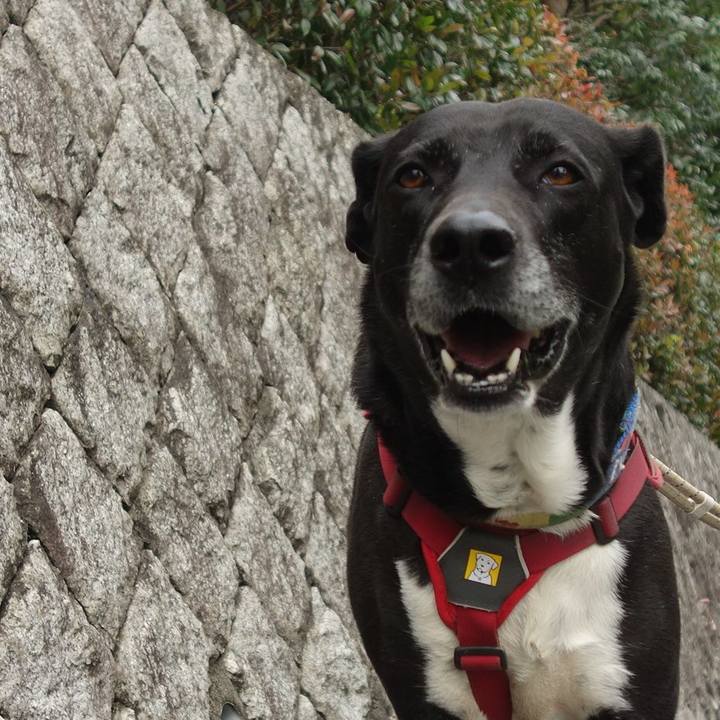 A7131873 4b98 49f1 befe 2d3978a39a0b 1682299820647