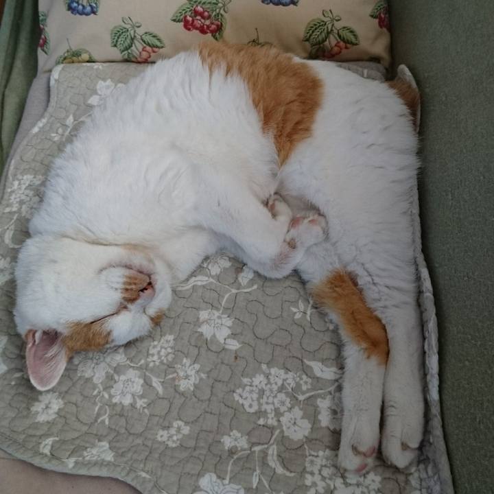 A71338f0 fb98 49e4 a2ab b3fbd45a35a6 1630059013985