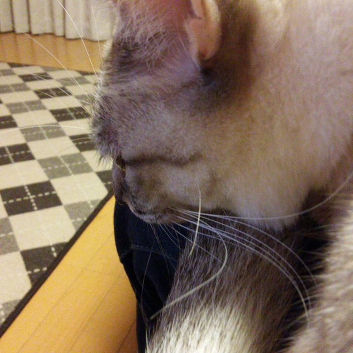 A7133a42 21ac 4bc2 a48b a89a187e5c56 1512823597047