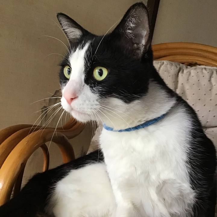 A7137f65 0974 402d 9dc1 136cc01dfae0 1714375534231