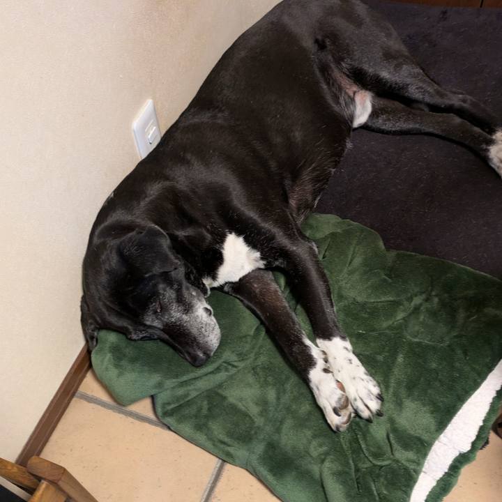 A713c21a 4820 4139 88bf 9b4fb7298ff0 1773265446740