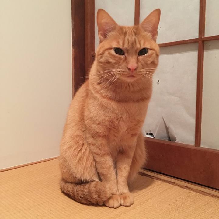 A713e3d1 68c7 4a09 bd48 fcfde7524d74 1542897759498