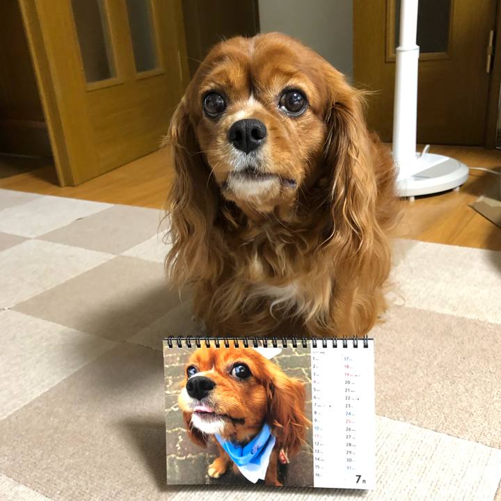 A713e82b e854 4a28 acce 8969b6ed94fb 1625091879423