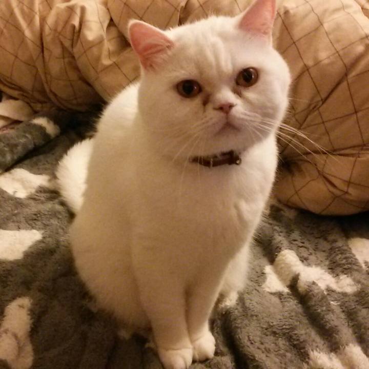 A7142637 733f 465c b25a 77f964f4ce6d 1524912036193