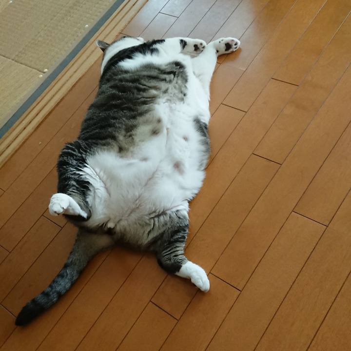 A7144639 b0e9 4aad a827 1eff5be6f79b 1564613316087