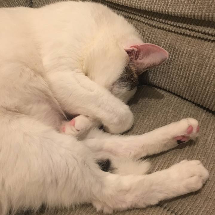 A7146b1c 3370 4128 915c d9123fb67421 1521099610532