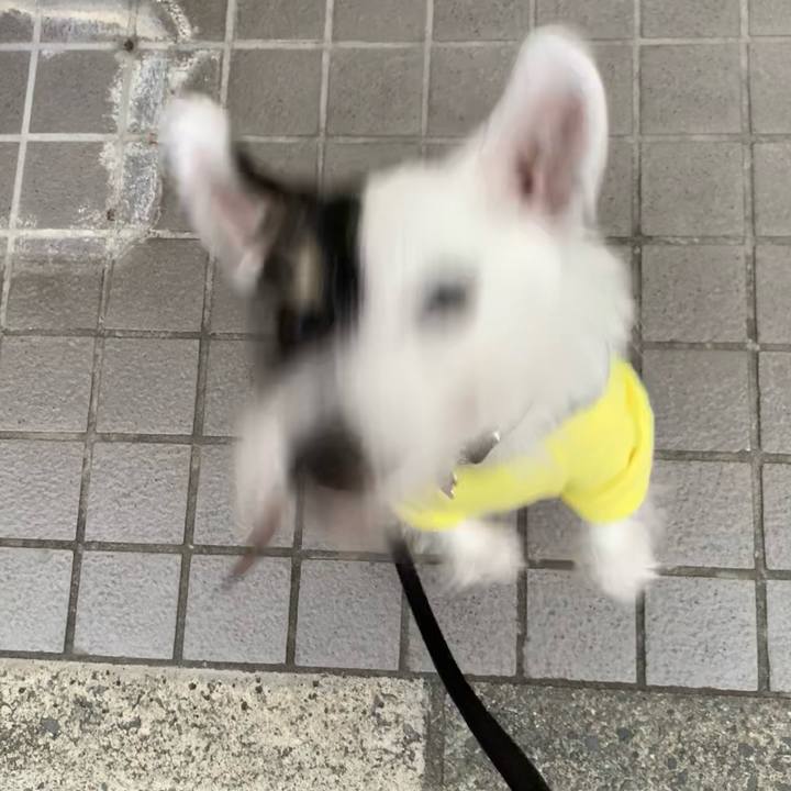 A7147d9f b126 485d 85de 848ccfce0e11 1730793375386