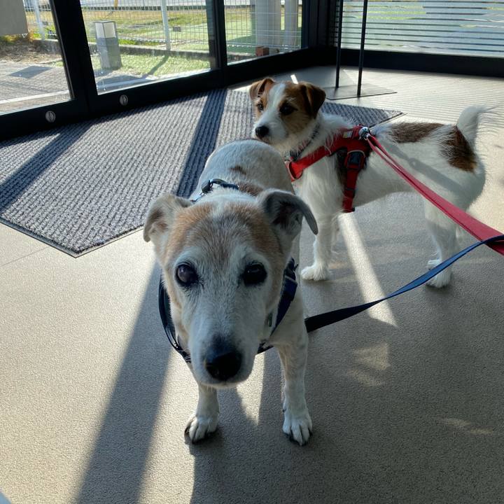 A71490c6 3696 4583 a163 7863dfe8936e 1672277304324