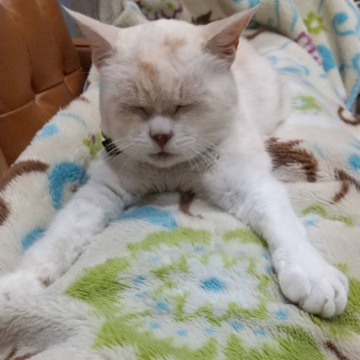 A714a436 0f79 4c6d ba1d 59275714f4c7 1593957375205