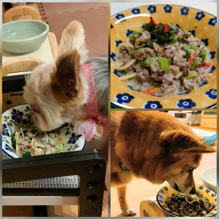 A714ae37 2579 49cb 9ae3 8f5a2291c409 1645872480744