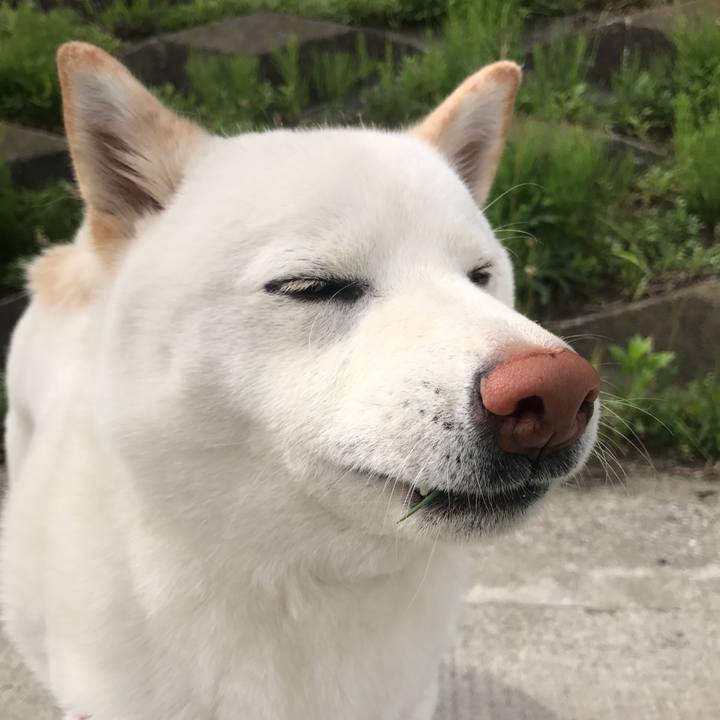 A714cdb0 e6d6 412e 8ae7 e44274f76424 1524528232591