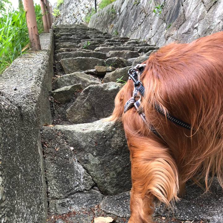 A714dbdf 4656 4ca4 b282 6c33bf8d349f 1588767571779