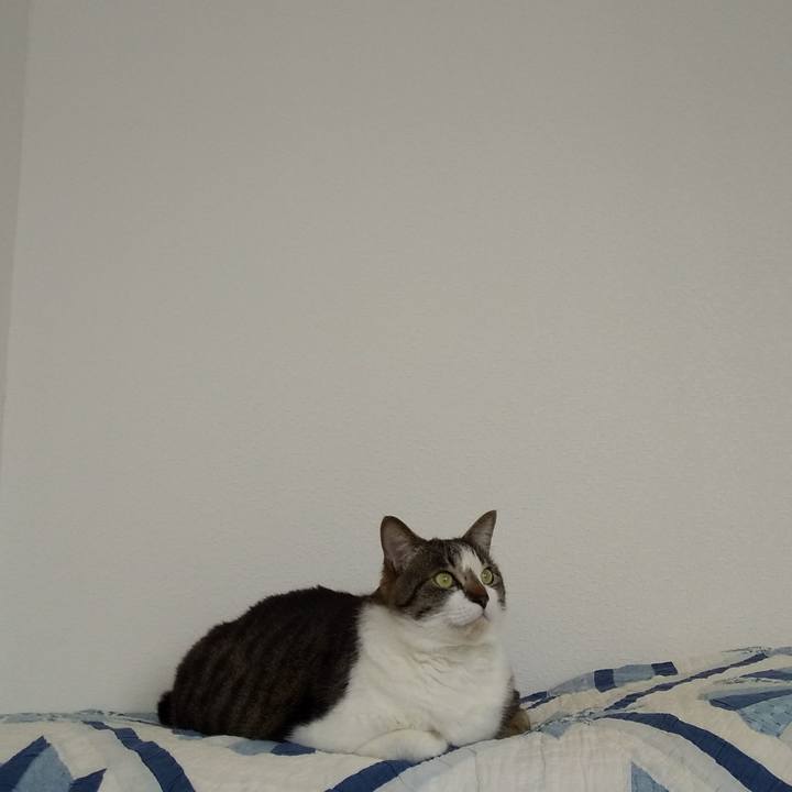 A714e90e fe8a 42df a324 61e8fda98fe9 1647834863599