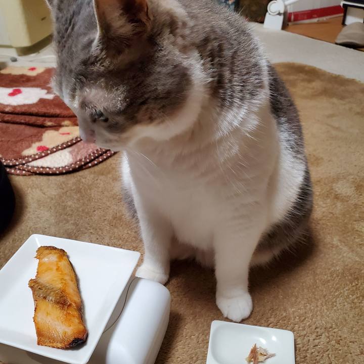 A7151ca1 37a9 4543 88e9 3c03bac2b88e 1723599503707